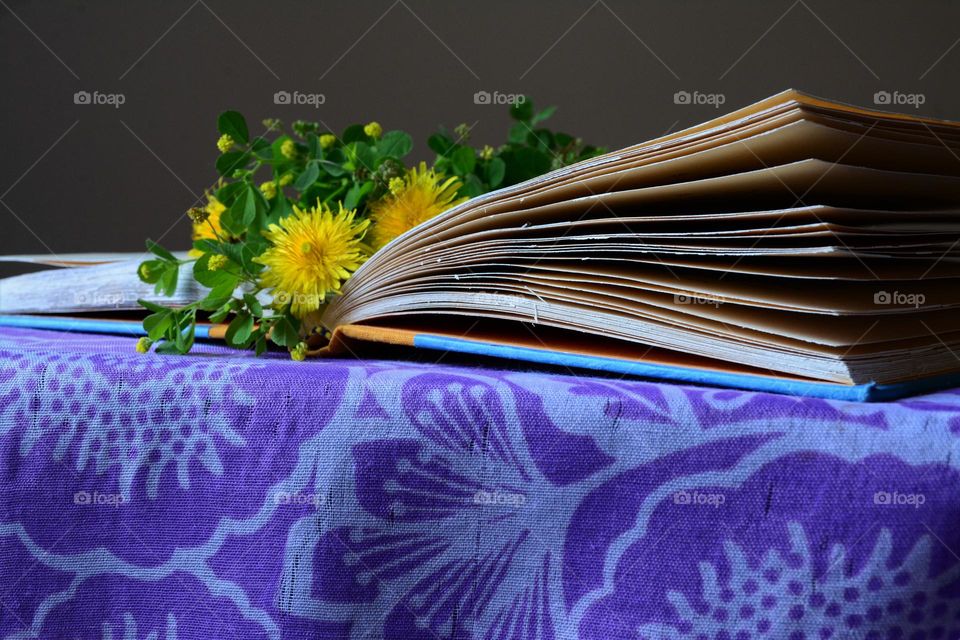 Spring Colors Reading and Flowers