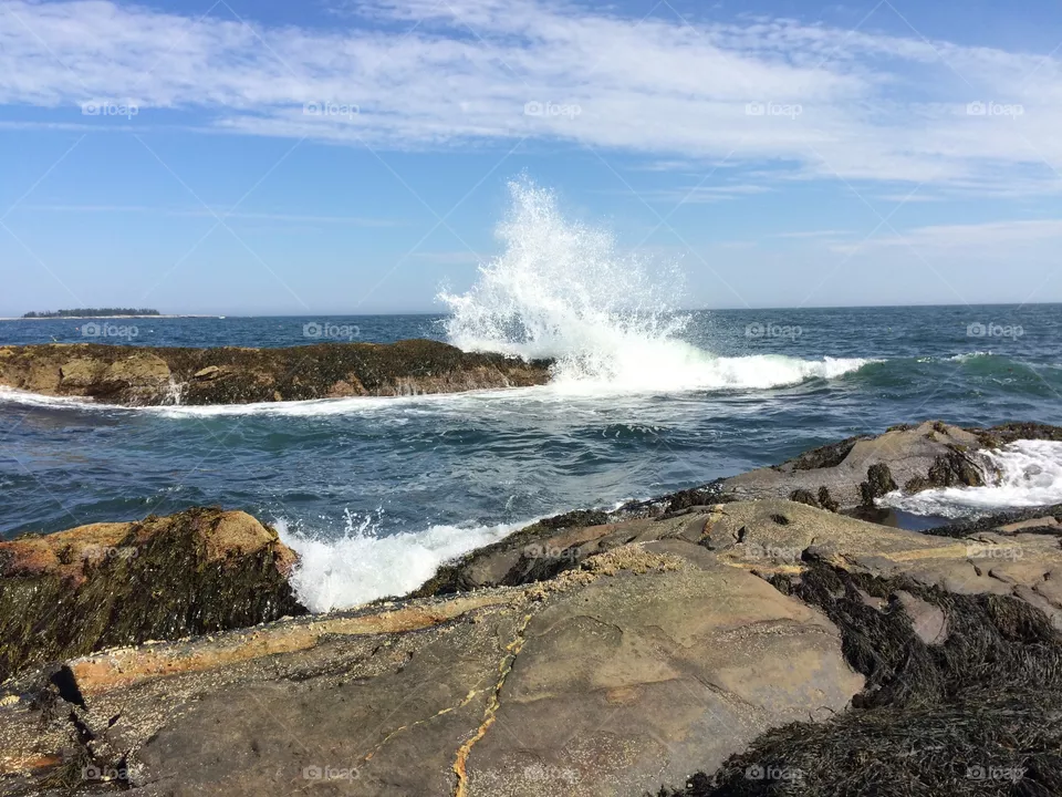 Waves 
