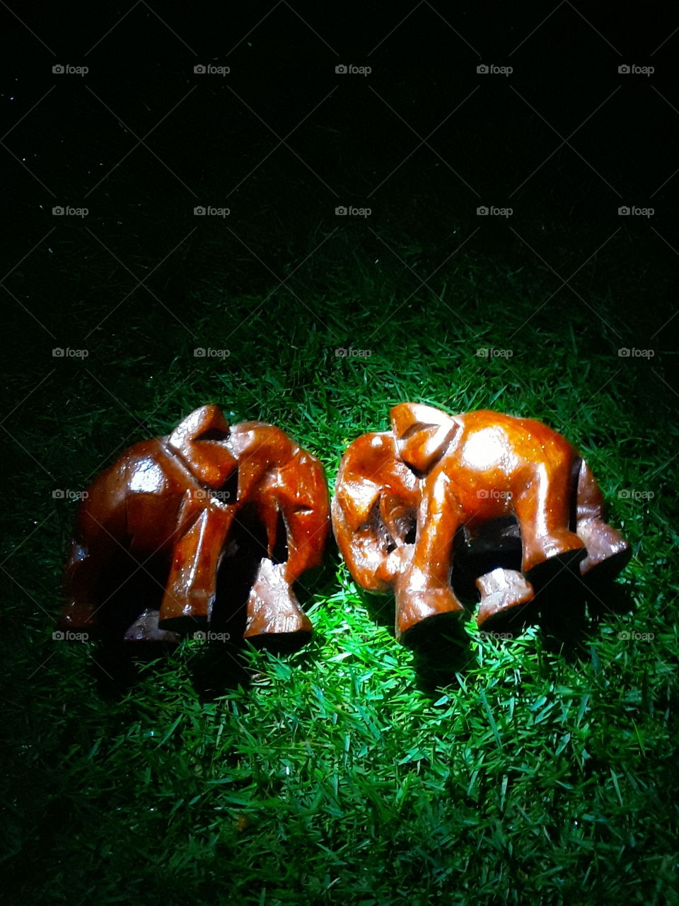 elephant, elephant are mammals of the family elephantidae and the largest existing land animals.thay are highly intelligent animals with complex emotional, feelings compassion and self awareness. this is beautiful location.