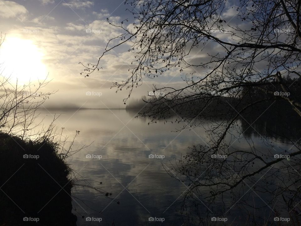 Landscape, Dawn, Tree, Winter, Sunset