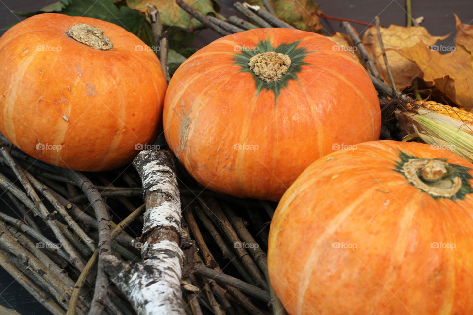 Close-up of pumpkin