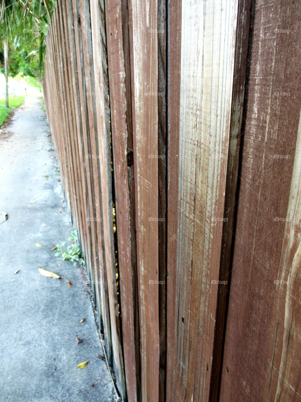wood fencing. Wood fencing along sidewalk
