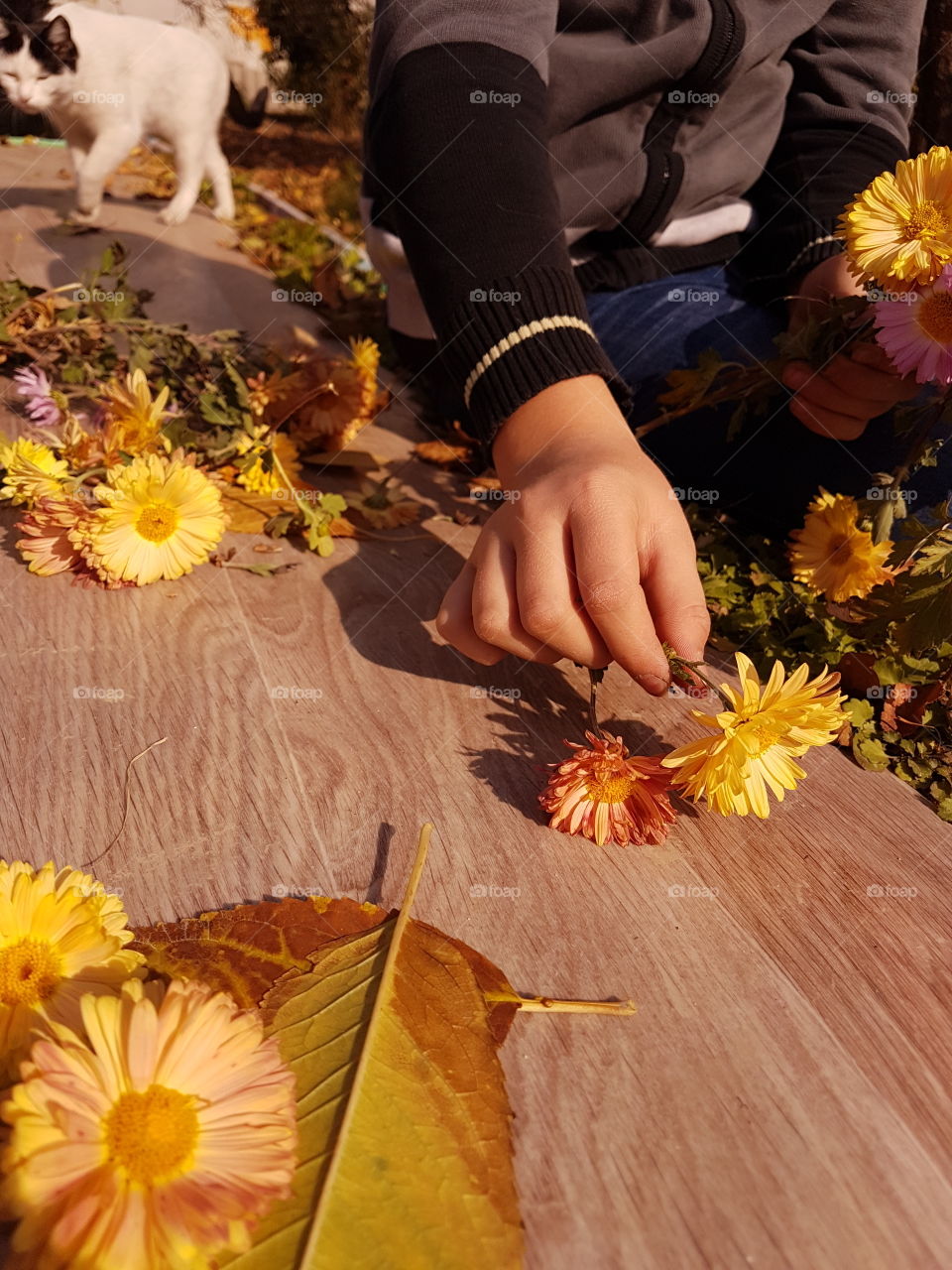 Flower, Woman, People, Girl, No Person