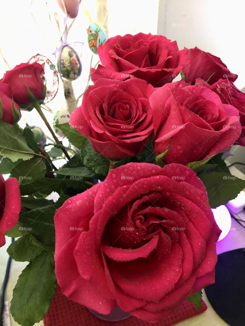 Blooming Roses in the vase 
