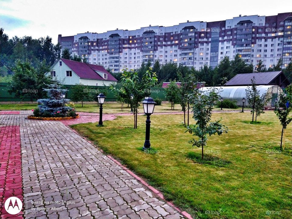 сад
garden