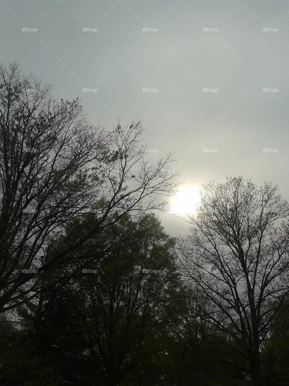 the sky