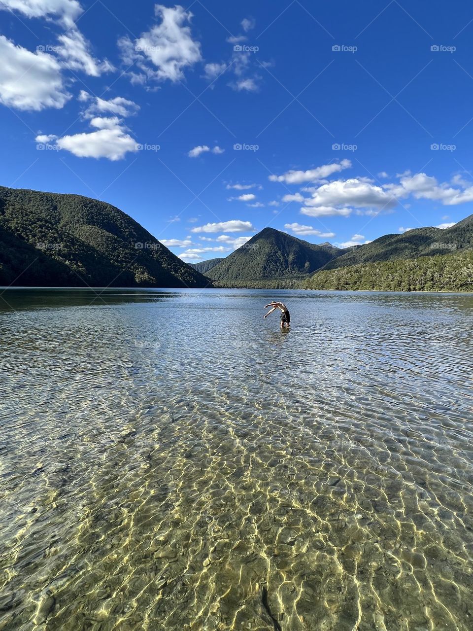 Lone lake swimmer 