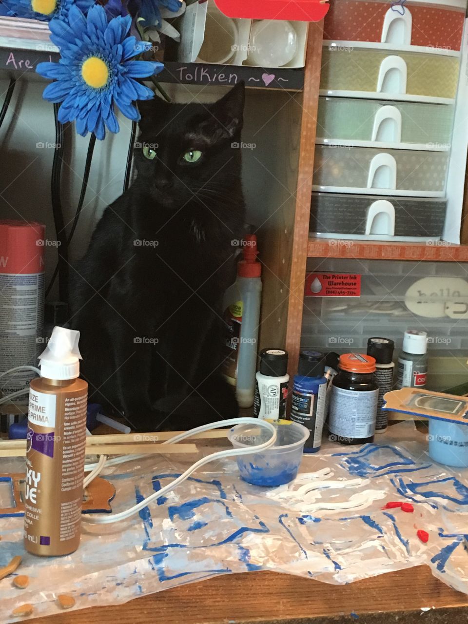 Cat helping with crafts