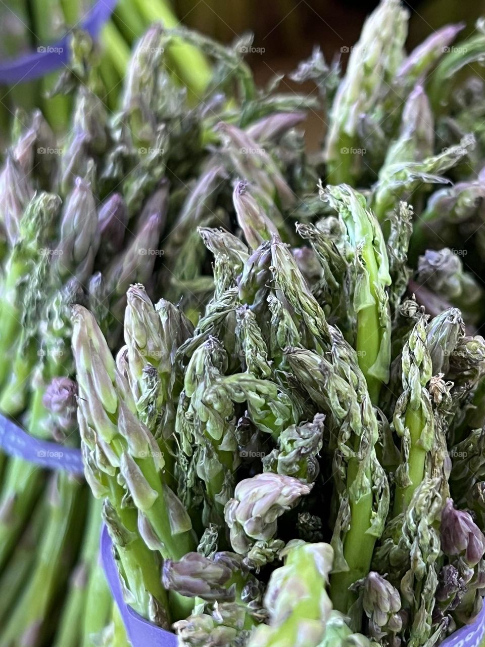 Asparagus 
