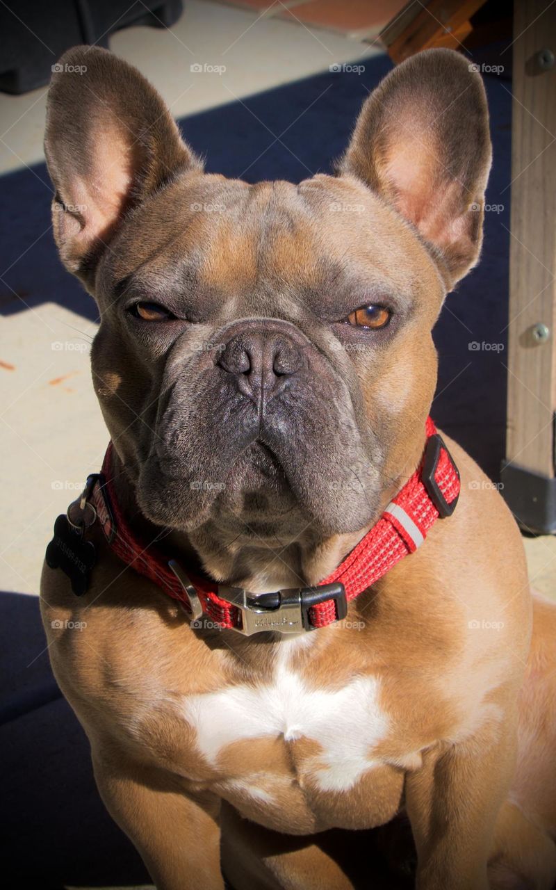 Blake Griff enjoying the sun 