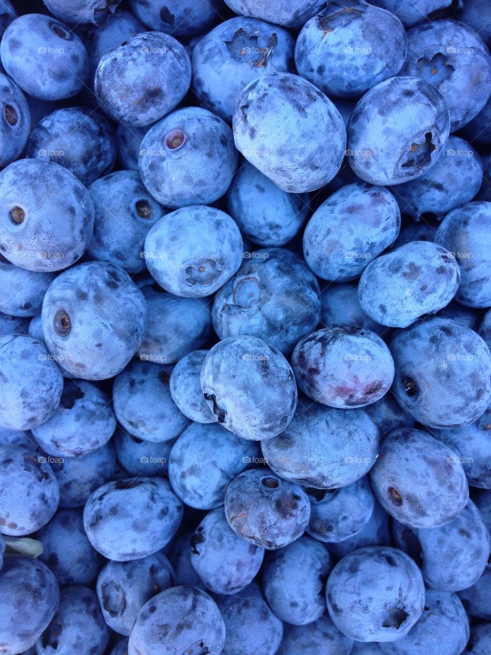 Full frame shot of blueberries