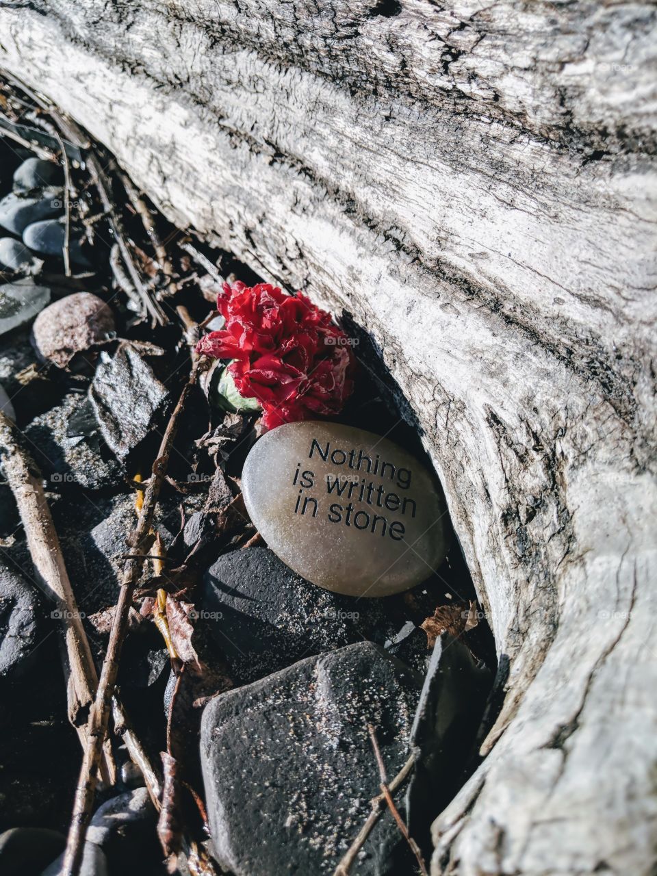 nothing written on stone 2nd edit