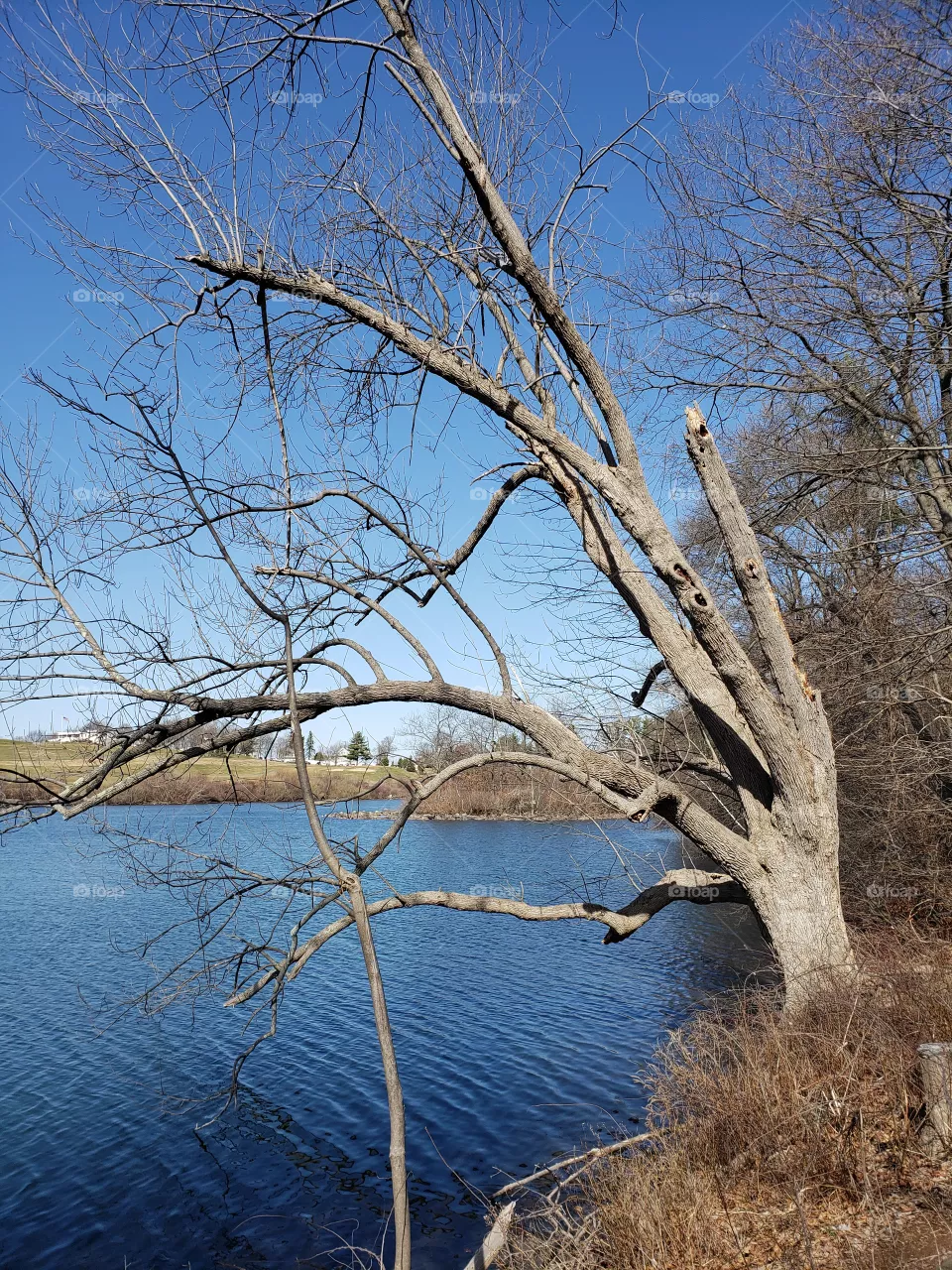 Green Hill Park