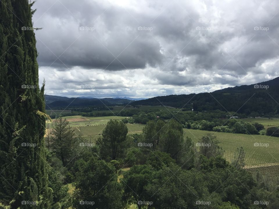 Cloudy with a chance of rain in the Valley of Napa with views of the countryside and wine crops.