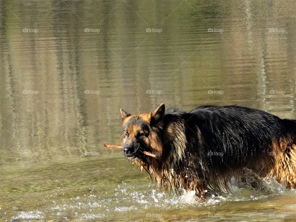 《You can't escape now》