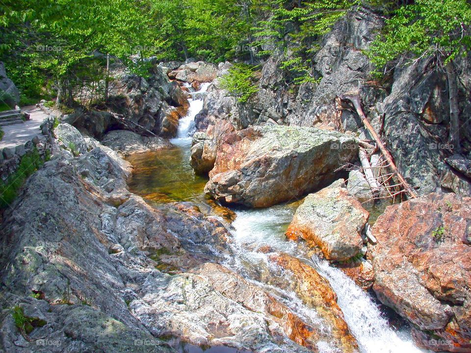 Flowing stream in the forest