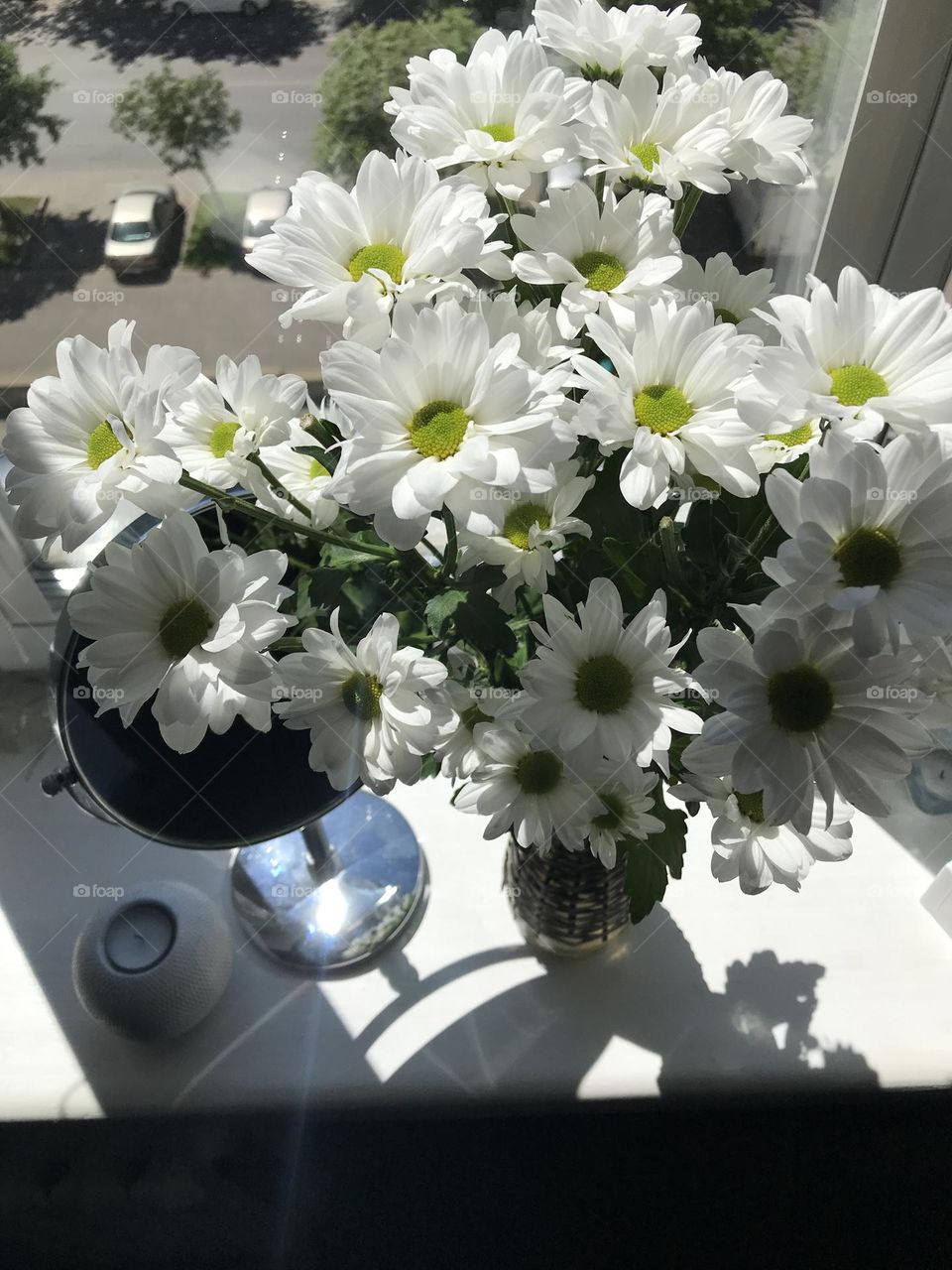 White beautiful flowers in vase at home