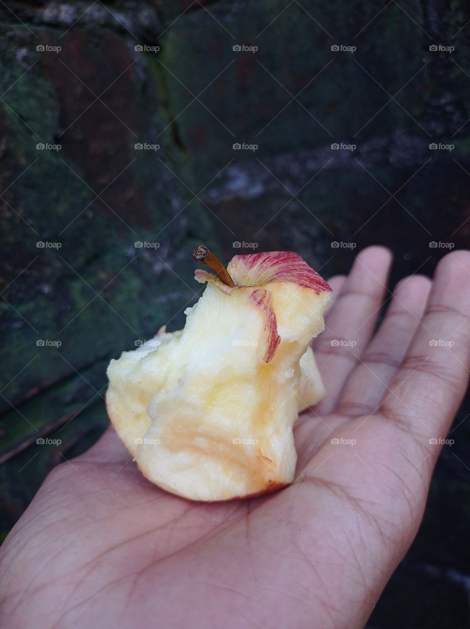eaten apple