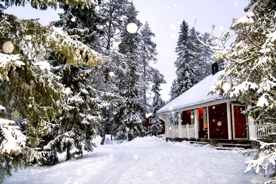 Snowy cabin in the forest
