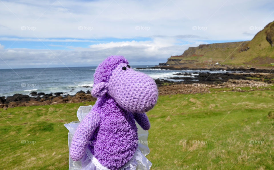 violet sheep travels. atound the nothern Ireland