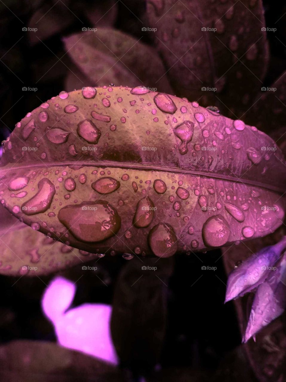 rainy drop with light effect