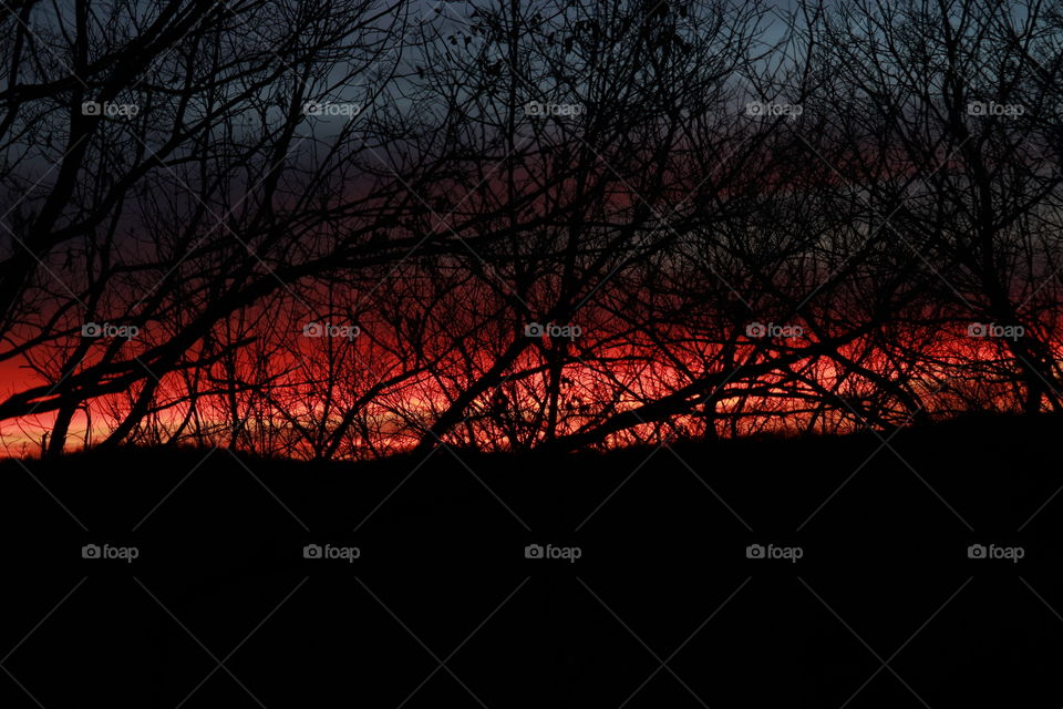 beautiful sunset behind trees