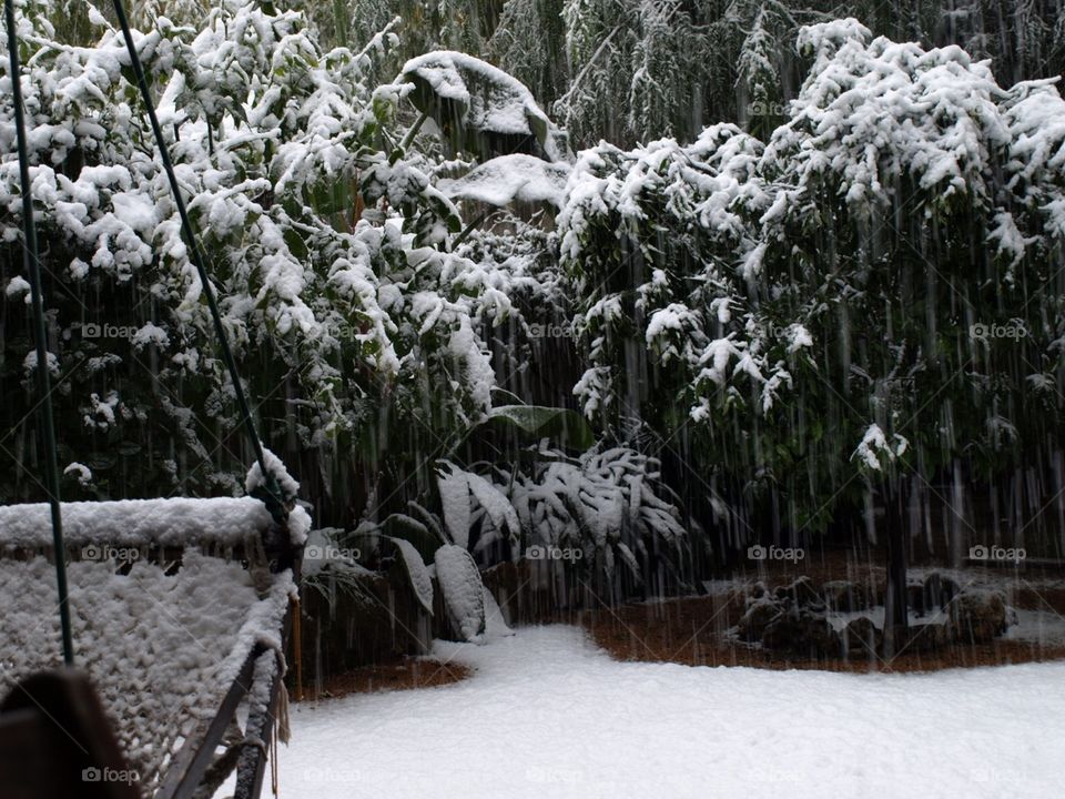 Snow in Barcelona