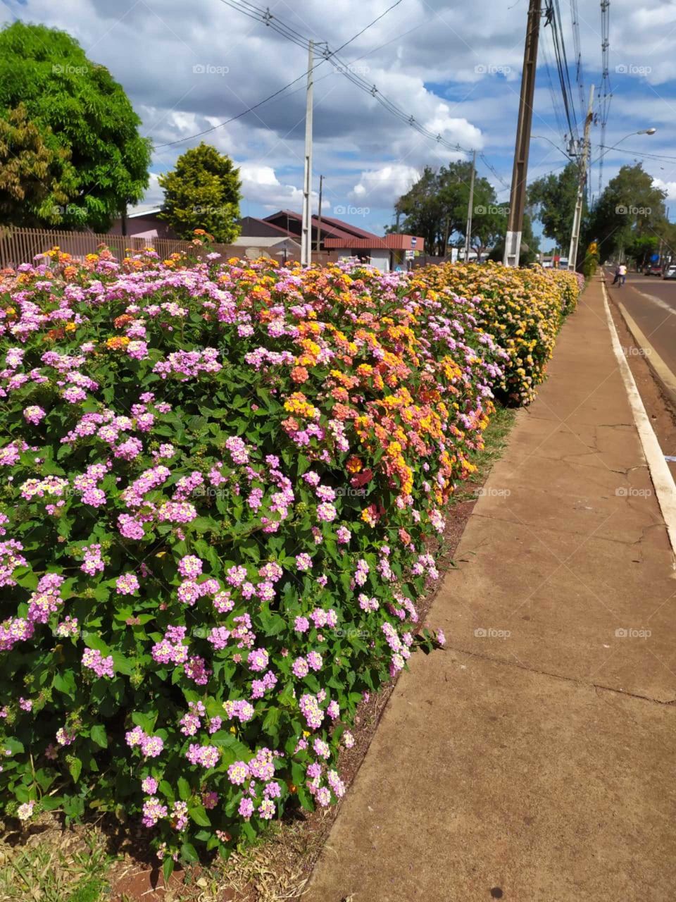 cidade, Corbélia, Paraná, Brasil