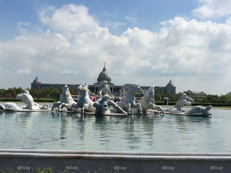 Horses from the water