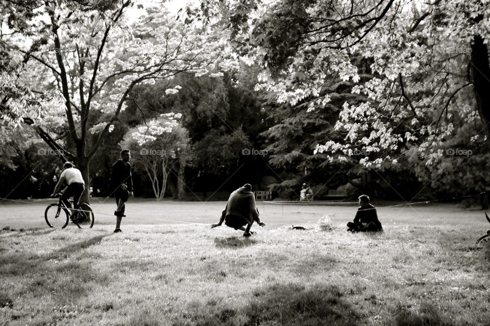 Sunny afternoon at the park