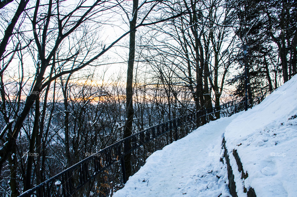 Nature landscape during sunset