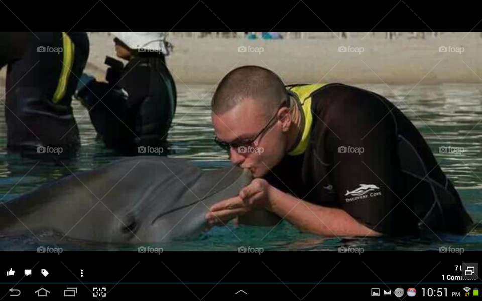 Love the Dolphin