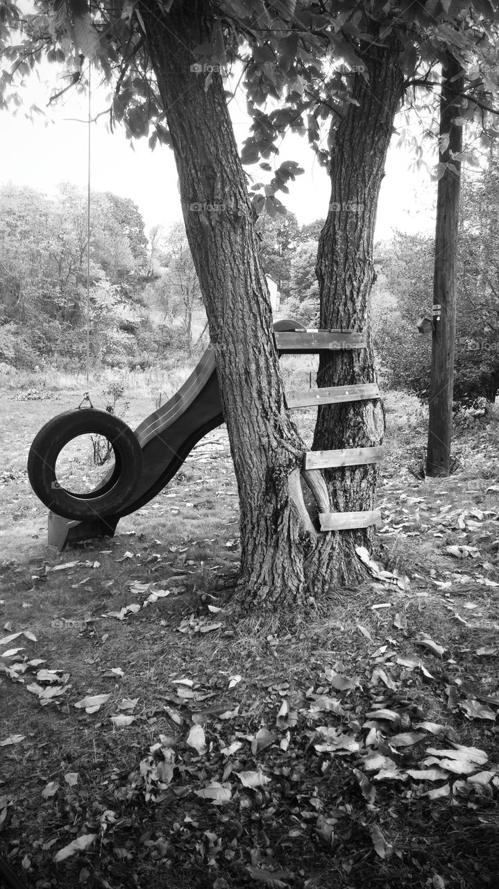 The ol' slide and tire swing
