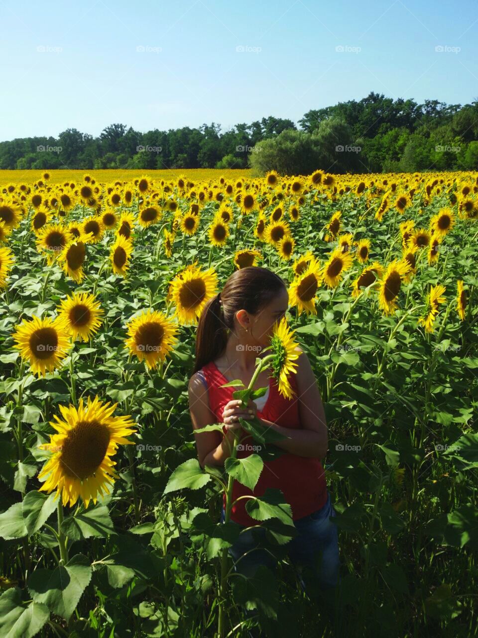 Girl in sunflowers