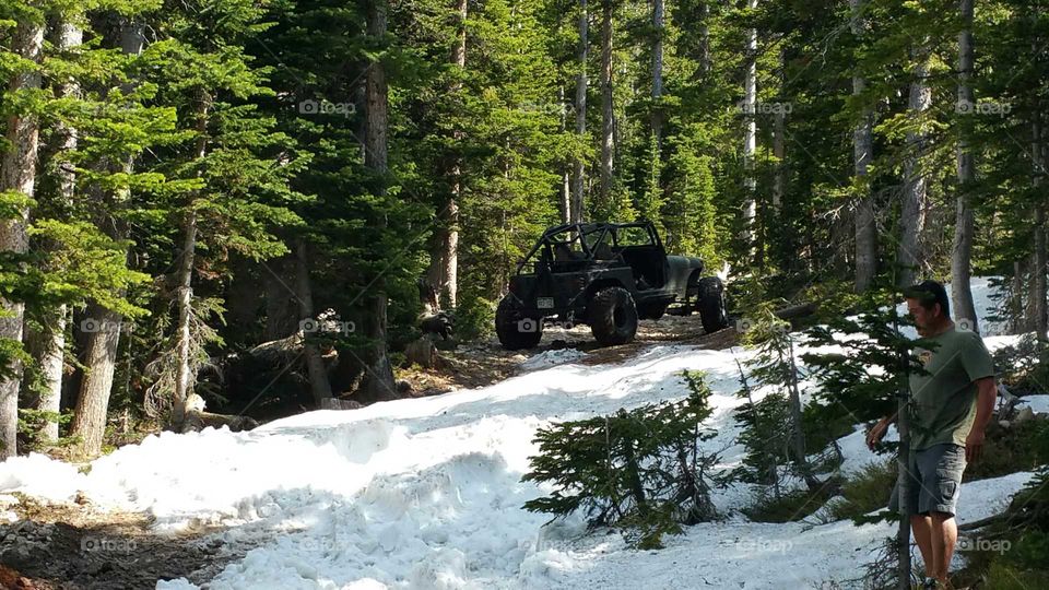 Snow on the trail