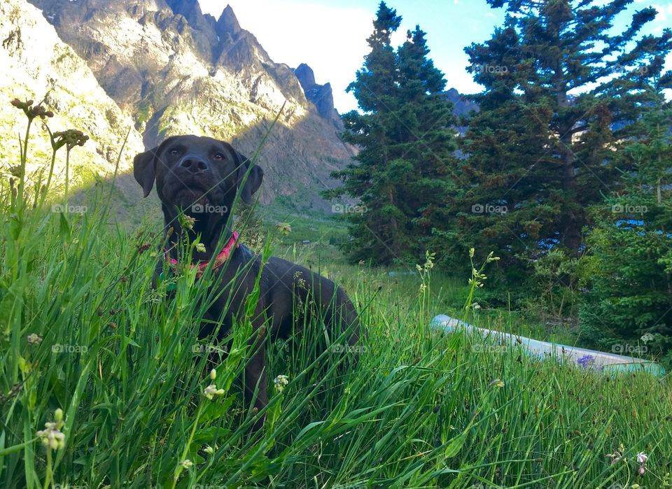 The Mountains Are Calling