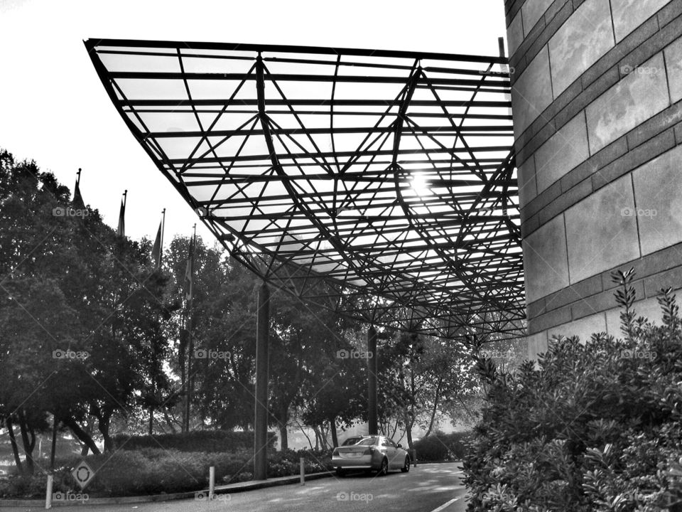 Architecture. Spaceframe Canopy