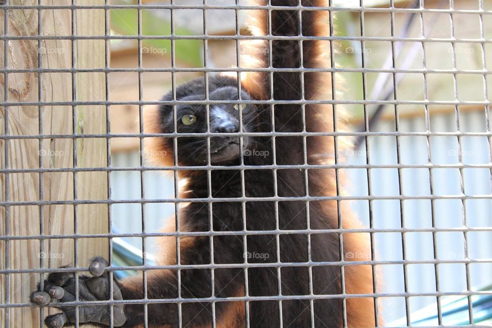 Just hanging around in color