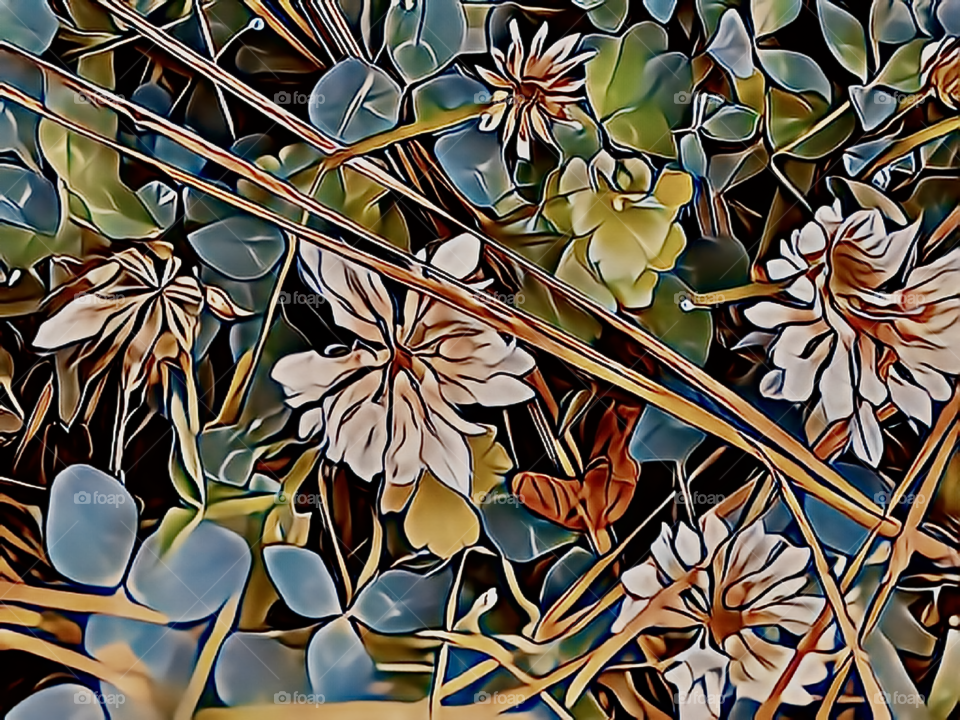 Spring blooming in a photograph I took and then created into realism art.