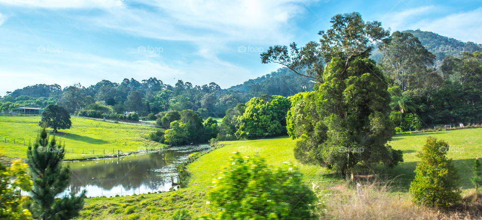 Reflection in stream