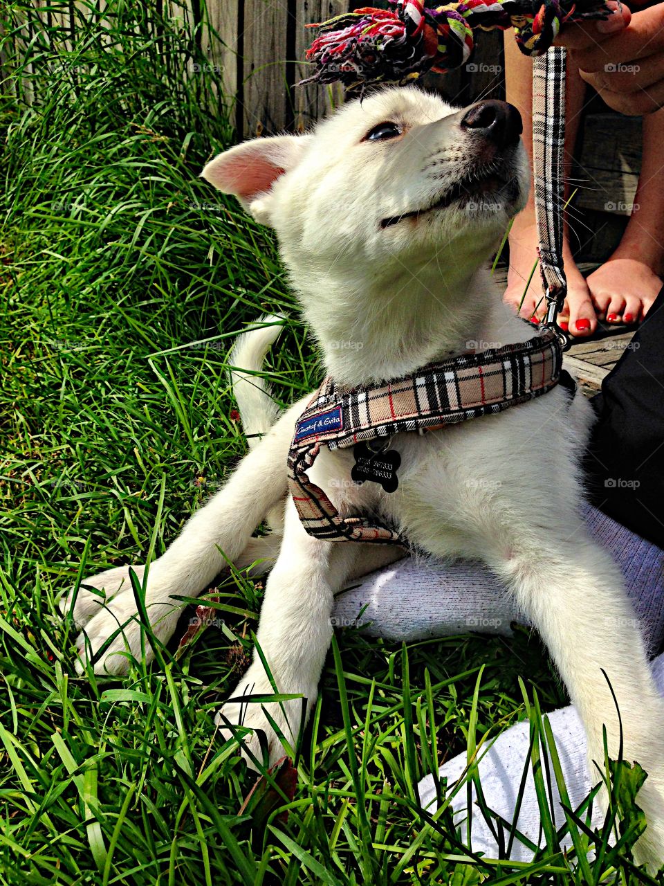 Sitting down in the grass!