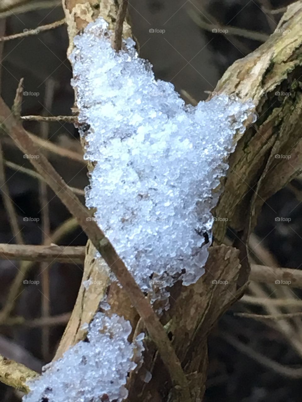Winter ice