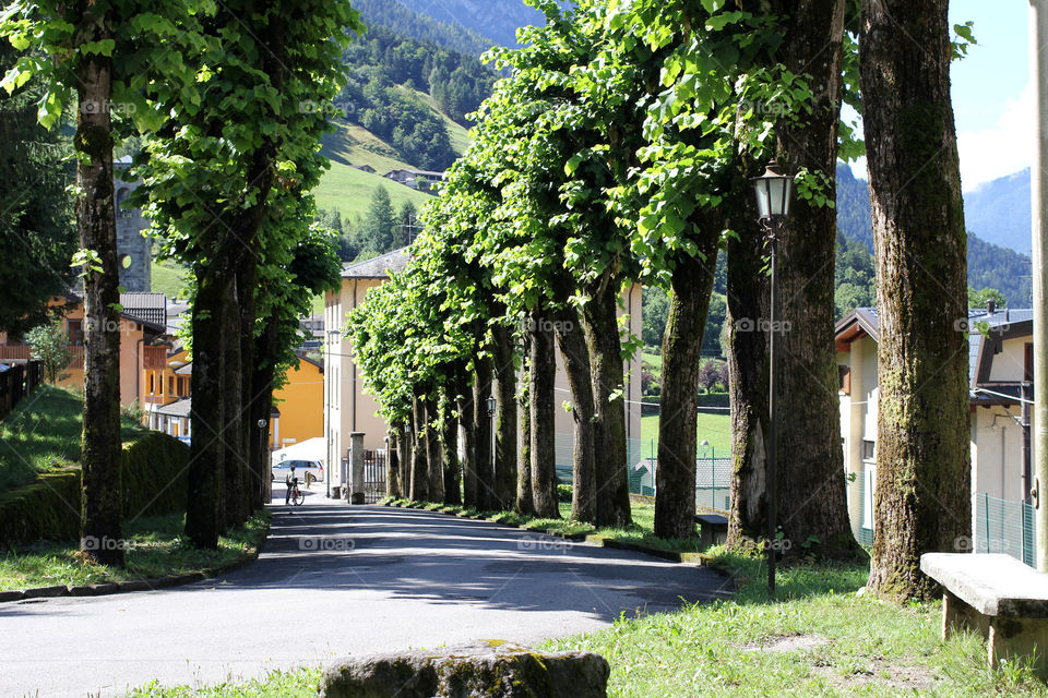 View of a empty road in village