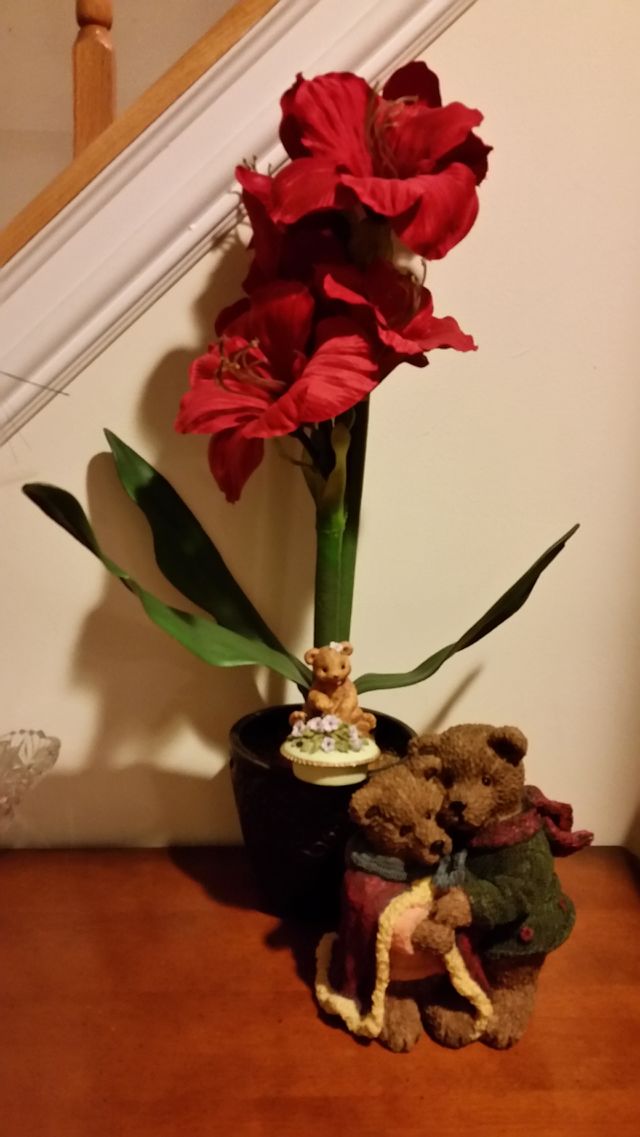 Red is gorgeus