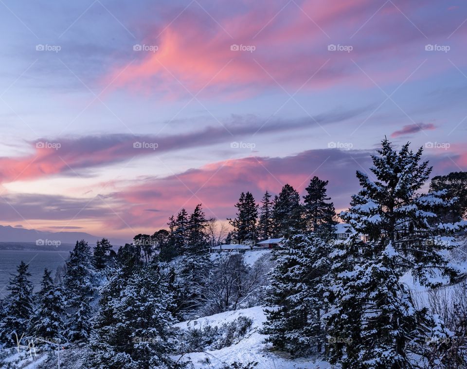 Snowfall and Sunset. Pink skies and white snow make a dramatic sunset