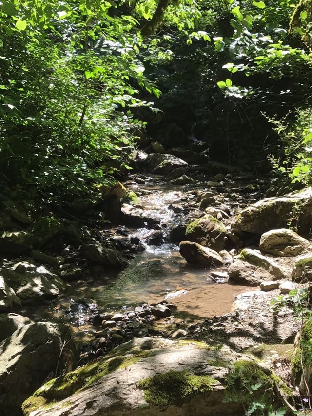 Красота