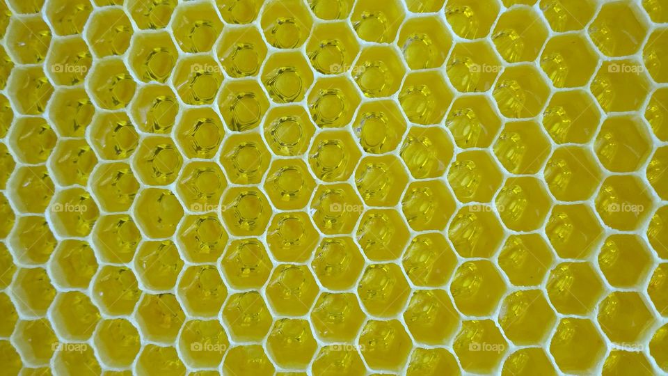 Nice honeycomb