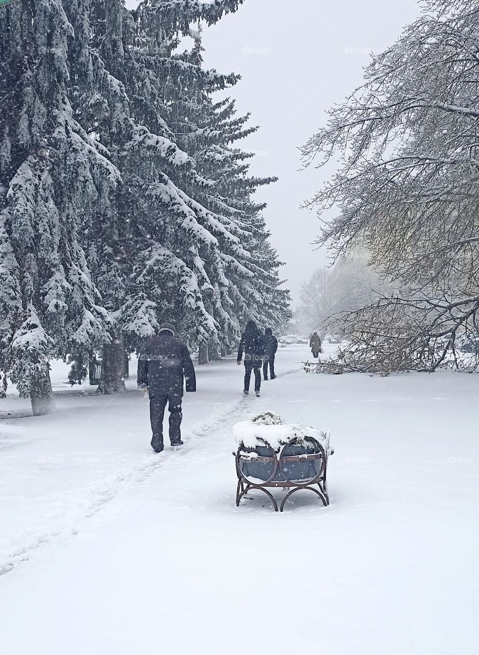 snowy street view people walking march weather