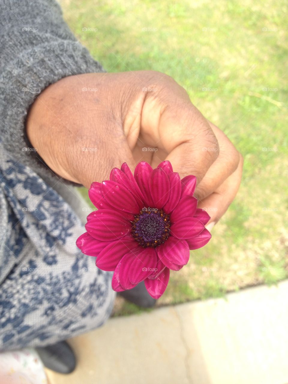 Handing flower