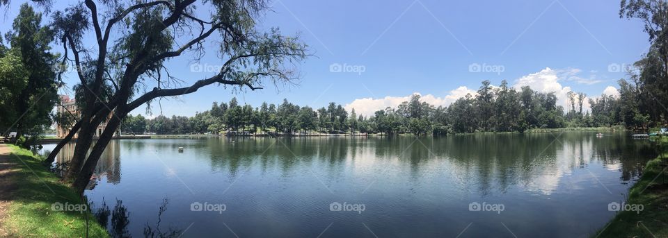 Tranquilidad en el lago 